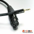 画像2: 3.5mm ステレオ ミニジャック (オス) ⇔ キャノン XLR (メス) 変換ケーブル 極短39cm (2)