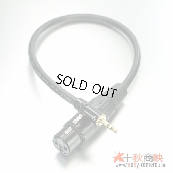 画像3: 3.5mm ステレオ ミニジャック (オス) ⇔ キャノン XLR (メス) 変換ケーブル 極短39cm