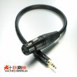 画像1: 3.5mm ステレオ ミニジャック (オス) ⇔ キャノン XLR (メス) 変換ケーブル 極短39cm